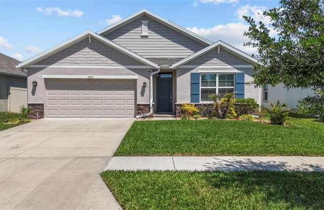 31455 PENNY SURF LOOP - 31455 Penny Surf Loop, Wesley Chapel, FL 33545