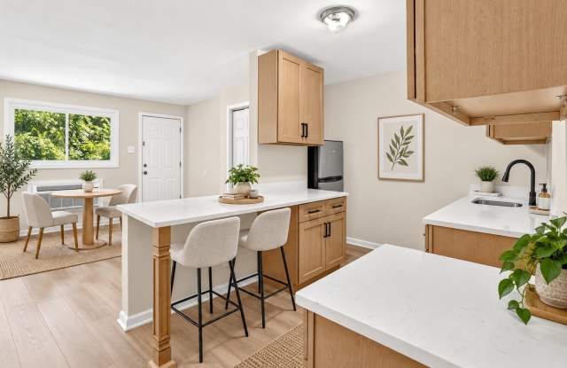 Renovated 2BR in Runnemede | Parking + W/D Hookups Gallery 2