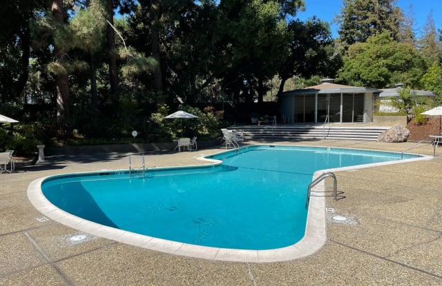 101 Alma ST 306 - 101 Alma St, Palo Alto, CA 94301