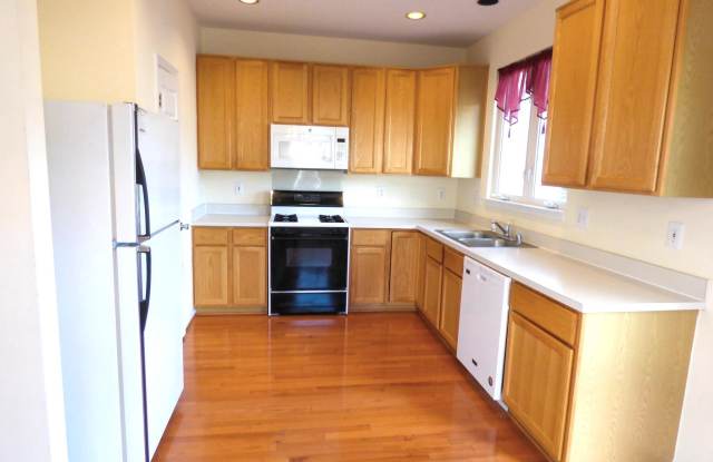 6240 FROSTY WINTER COURT Gallery 4