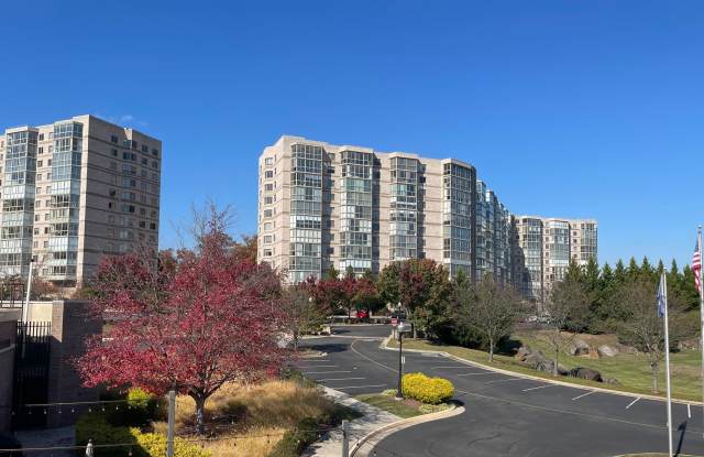 2 Bed+Library 2 Bath Condo With Endless Wood-Views Sunroom In Prestigious Riverview At Lansdowne photos photos