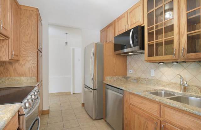 1169 South Plymouth Ct. Gallery 4