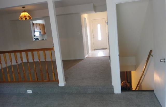 2910 SHELLEY COURT Gallery 2