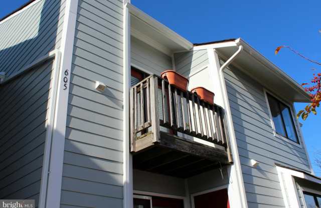 605 MARION QUIMBY DRIVE Gallery 2