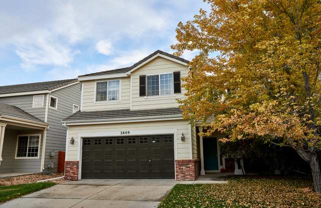 3809 Rannoch Street photos photos