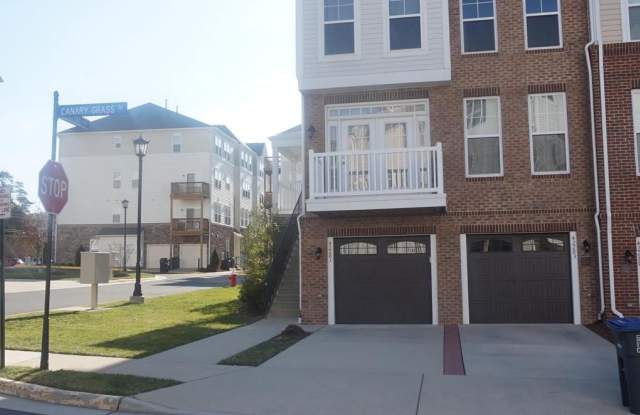 42281 CANARY GRASS SQUARE Gallery 3