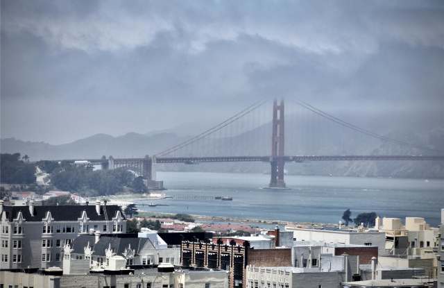 2235 Laguna street - 2235 Laguna Street, San Francisco, CA 94115