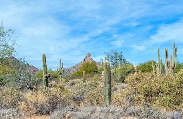 10326 E BUCKSKIN Trail Gallery 4
