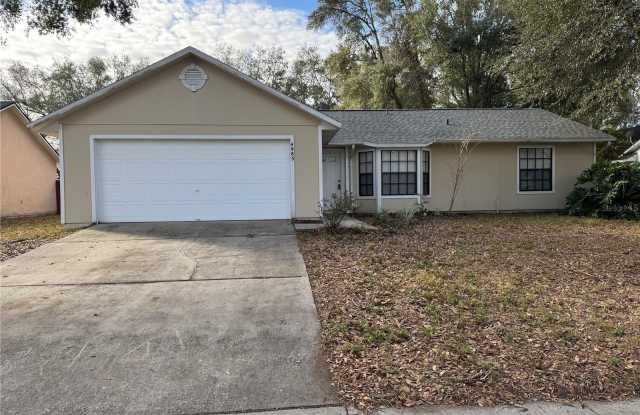 4985 SAWDUST CIRCLE - 4985 Sawdust Circle, Ocoee, FL 34761