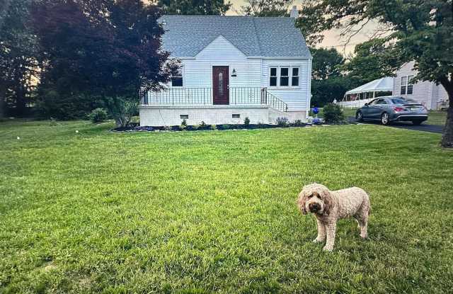 307 FAIRVIEW AVENUE photos photos
