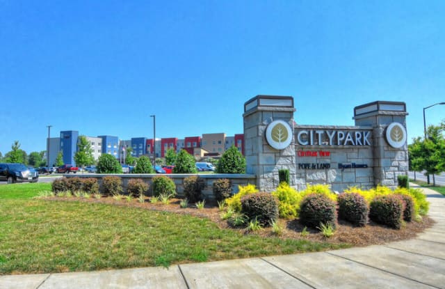 1218 Piedmont Park Drive - 1218 Piedmont Park Dr, Charlotte, NC 28217
