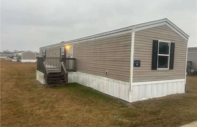 25 Ceila photos photos