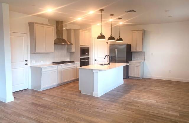 STUNNING BRAND NEW HOME IN MANOR TX Gallery 3
