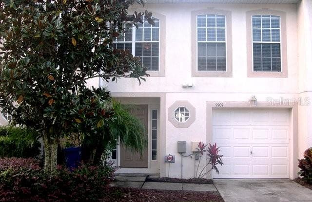 9909 ASHBURN LAKE DRIVE - 9909 Ashburn Lake Drive, East Lake-Orient Park, FL 33610