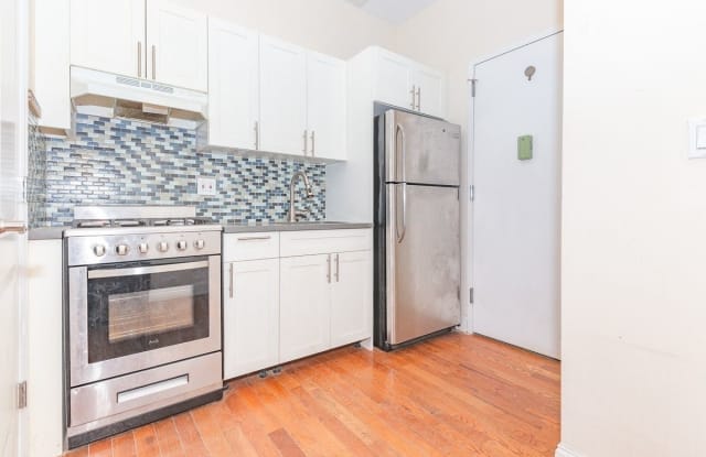 255 Troy Avenue - 255 Troy Avenue, Brooklyn, NY 11213