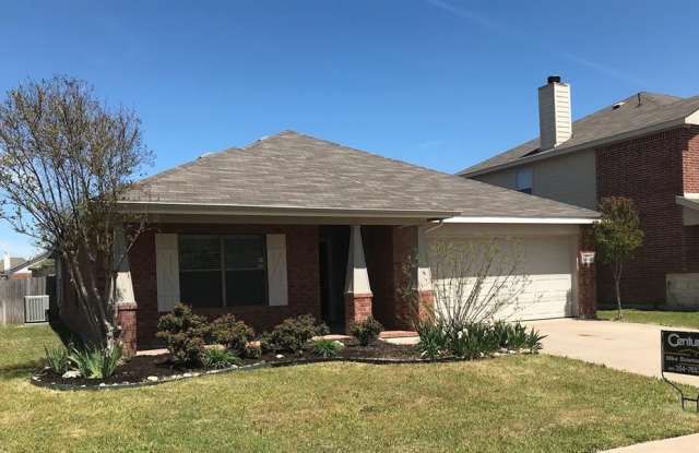 10552 Winding Passage Way - 10552 Winding Passage Way, Fort Worth, TX 76131
