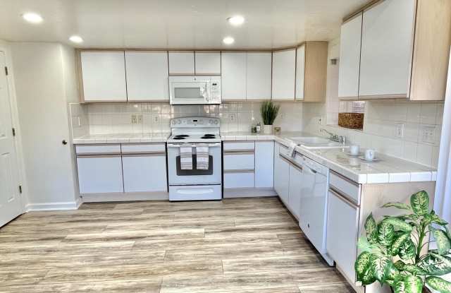 506 E Taylor Street - 506 East Taylor Street, Reno, NV 89502