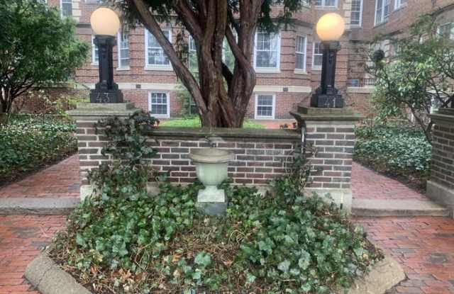 41 Linnaean Street photos photos