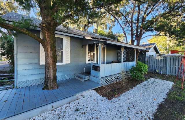 110 Downing Street - 110 Downing Street, New Smyrna Beach, FL 32168