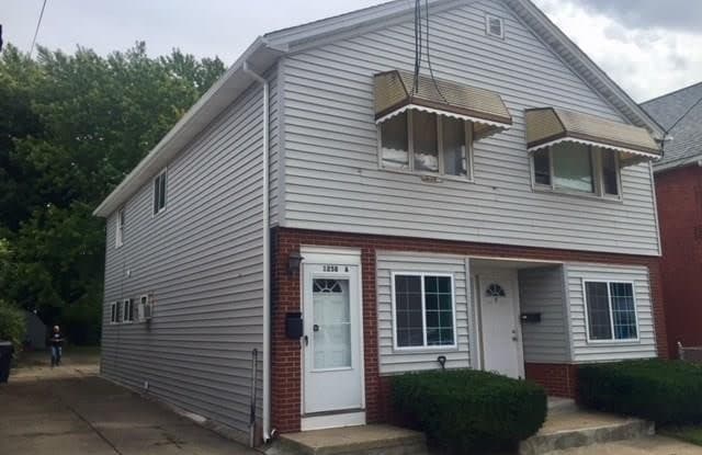 1258 Electric Avenue - 1258 Electric Avenue, Lackawanna, NY 14218