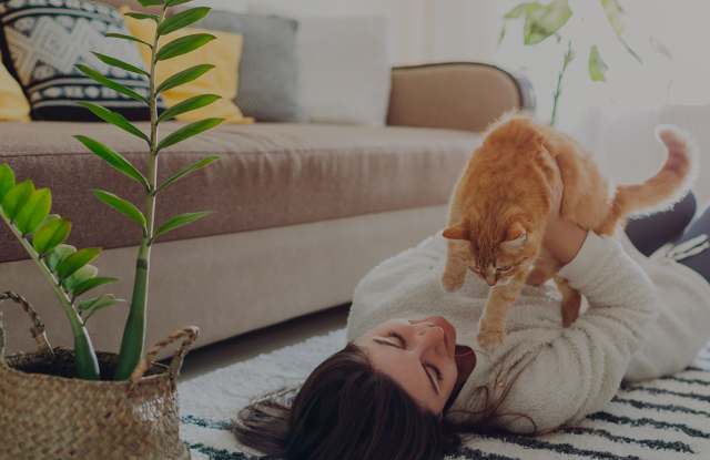 Cambridge Dorchester Apartments photos photos