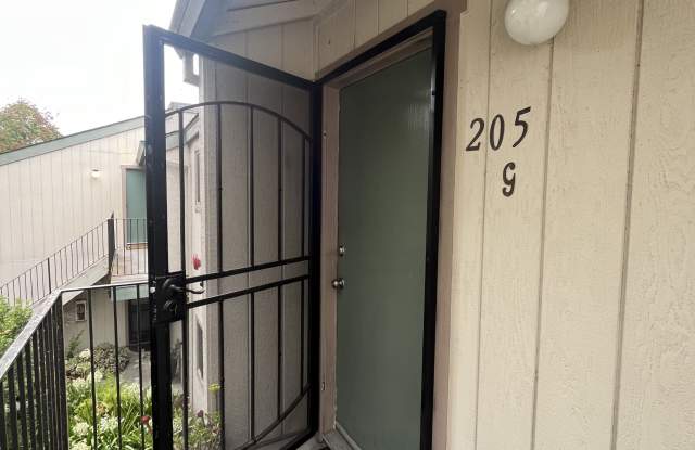 205 Stony Point Road - 205 Stony Point Road, Santa Rosa, CA 95401