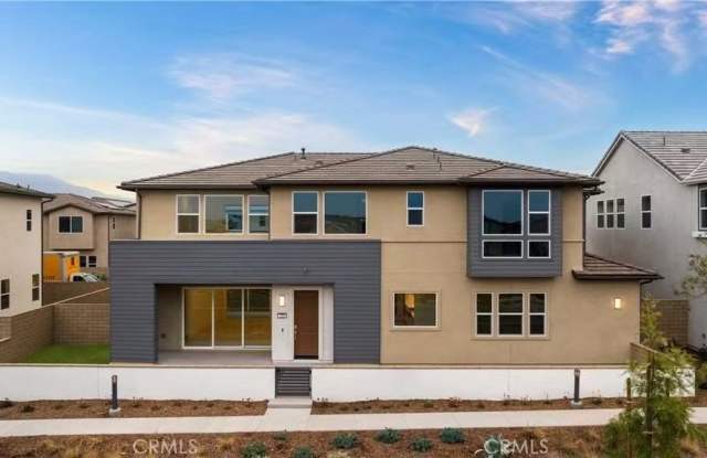 258 Sora photos photos