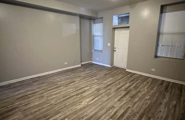 4254 South Cottage Grove Avenue - 1Unit 2 Gallery 2