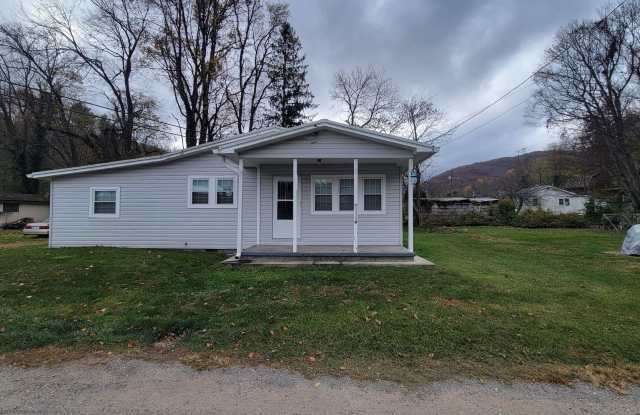 3/2 newly remodeled home - 43 Indian Trail Loop, Haywood County, NC 28786