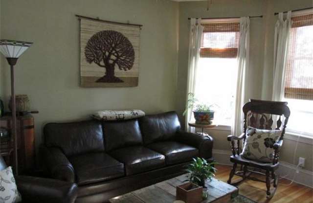 32 Etna Street Gallery 3
