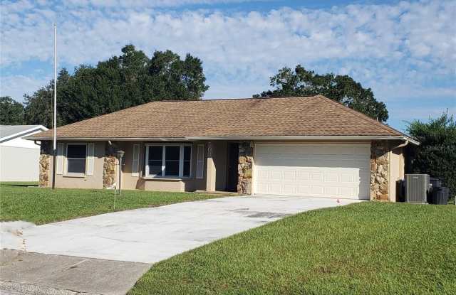 503 CHANCELLAR DRIVE - 503 Chancellar Drive, Lutz, FL 33548