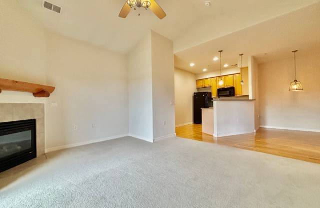 Elevated 2 Bed 2 Bath Haven in Central Fort Collins! photos photos
