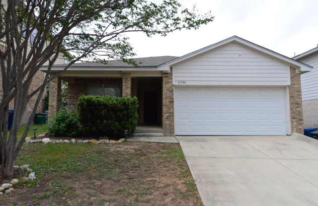 15746 Cotton Tail photos photos 15746 Cotton Tail photos photos