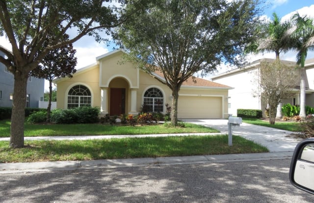 11455 Newgate Crest Drive - 11455 Newgate Crest Drive, Riverview, FL 33579