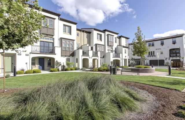 115 Sonoma Ter Gallery 2