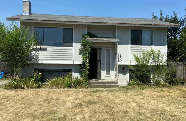 House for rent in Kettle Falls - 160 West 10th Avenue, Kettle Falls, WA 99141