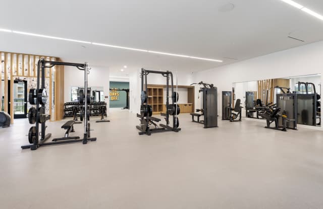 The Amber photos photos The Amber photos photos