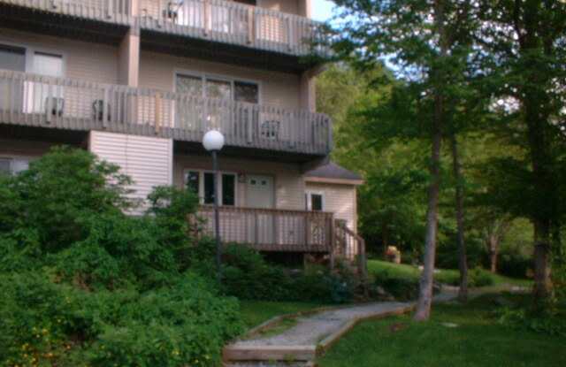 4234 Bolton Valley Access Road Gallery 4