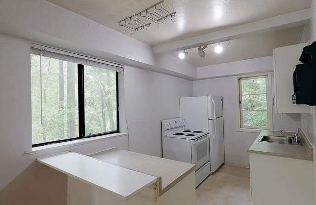 Cozy Mountain Studio Gallery 3