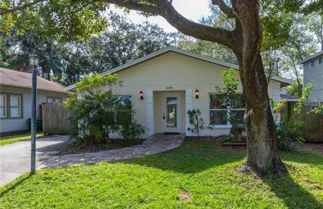 328 W HAYA STREET - 328 West Haya Street, Tampa, FL 33603