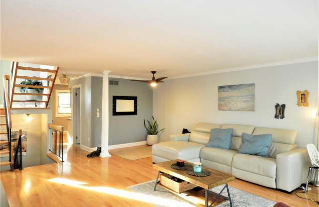 15 Meredith Court Gallery 2