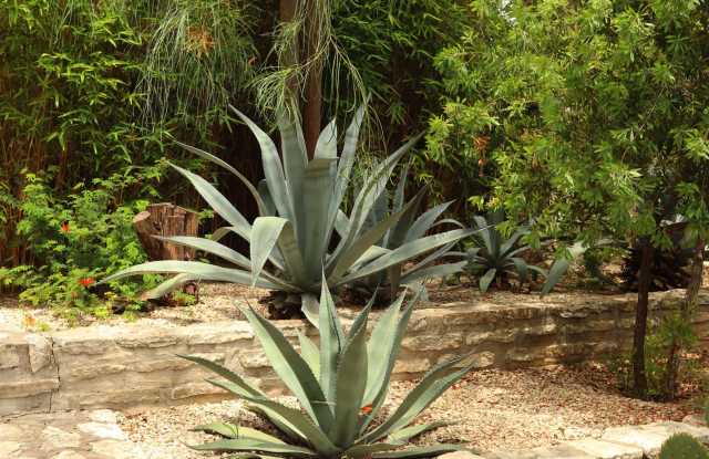 Warwick photos photos Warwick photos photos