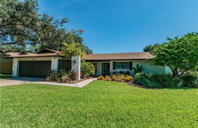 11717 ROLLING OAKS LANE - 11717 Rolling Oaks Lane, Carrollwood, FL 33618