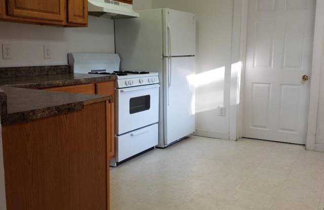 5 Bedroom, 2 Bathroom - 310 Ives Avenue, Big Rapids, MI 49307