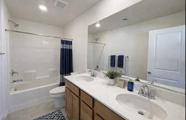 3543 Dimora Street photos photos