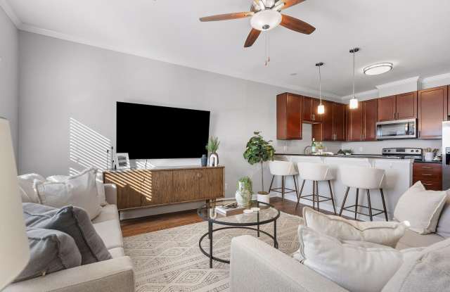 Forest on Frazier - 207 Delmont Street, Chattanooga, TN 37405
