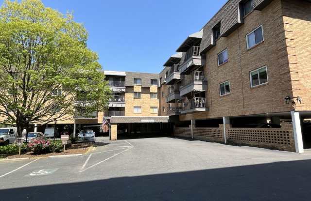 Updated 3 Bed Condo in Myers Park photos photos