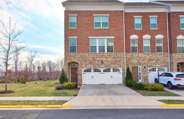 42241 VIOLET MIST - 42241 Violet Mist Terrace, Brambleton, VA 20148