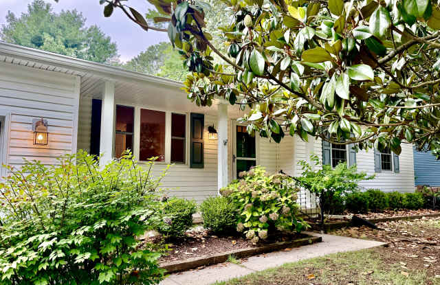 804 Cypress Beach Road Gallery 1