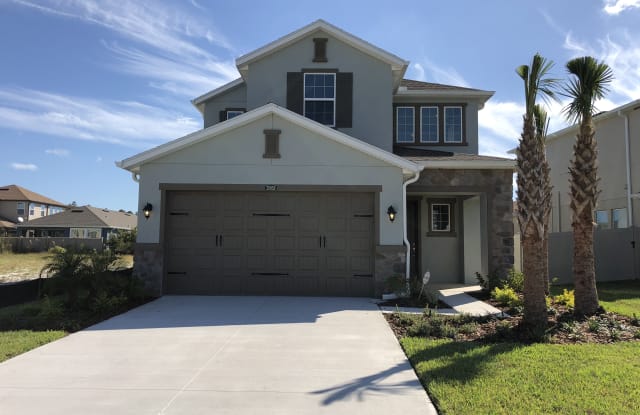 28958 Trevi Pl - 28958 Trevi Place, Wesley Chapel, FL 33543